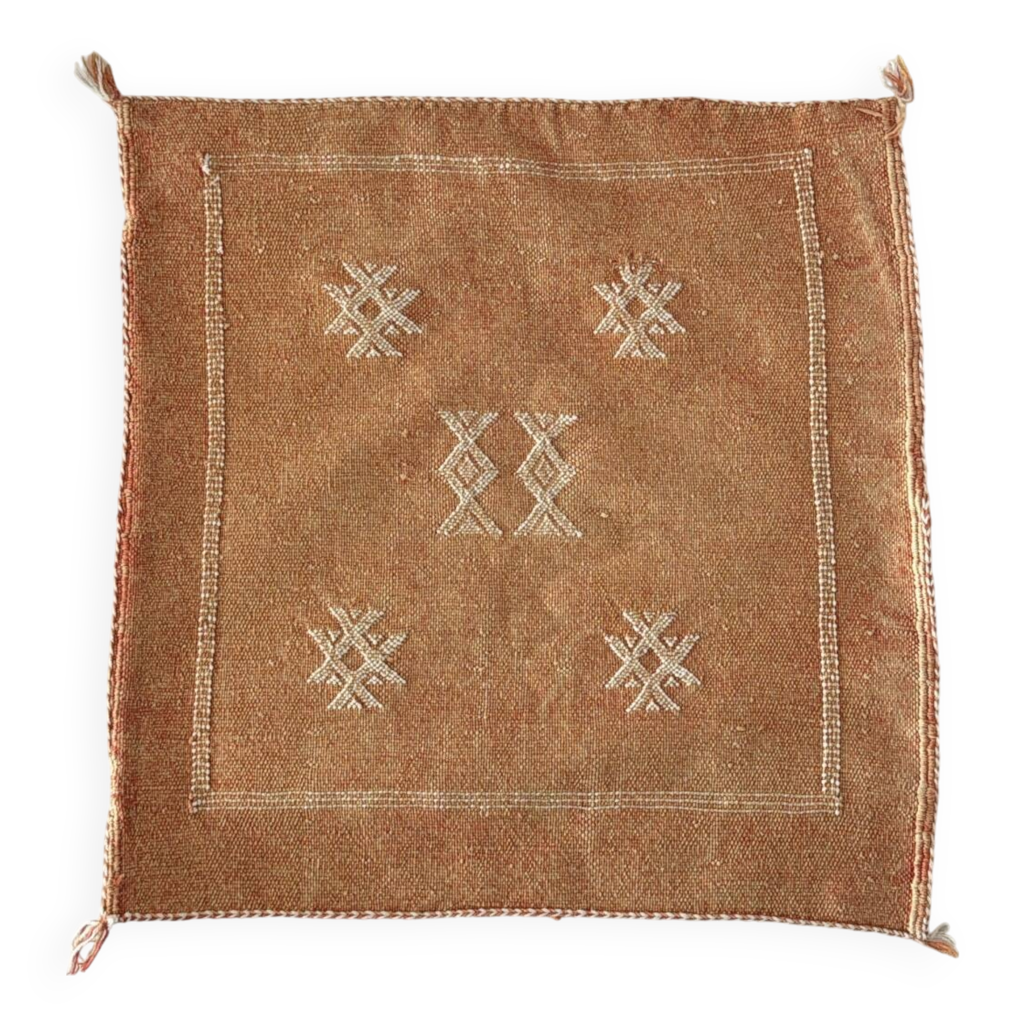 Cactus Silk Cushion - Orange