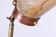 Italian brass floor lamp with conical shaft, adjustable in tilt and height, 1950