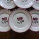 6 Badonviller 200839 dinner plates