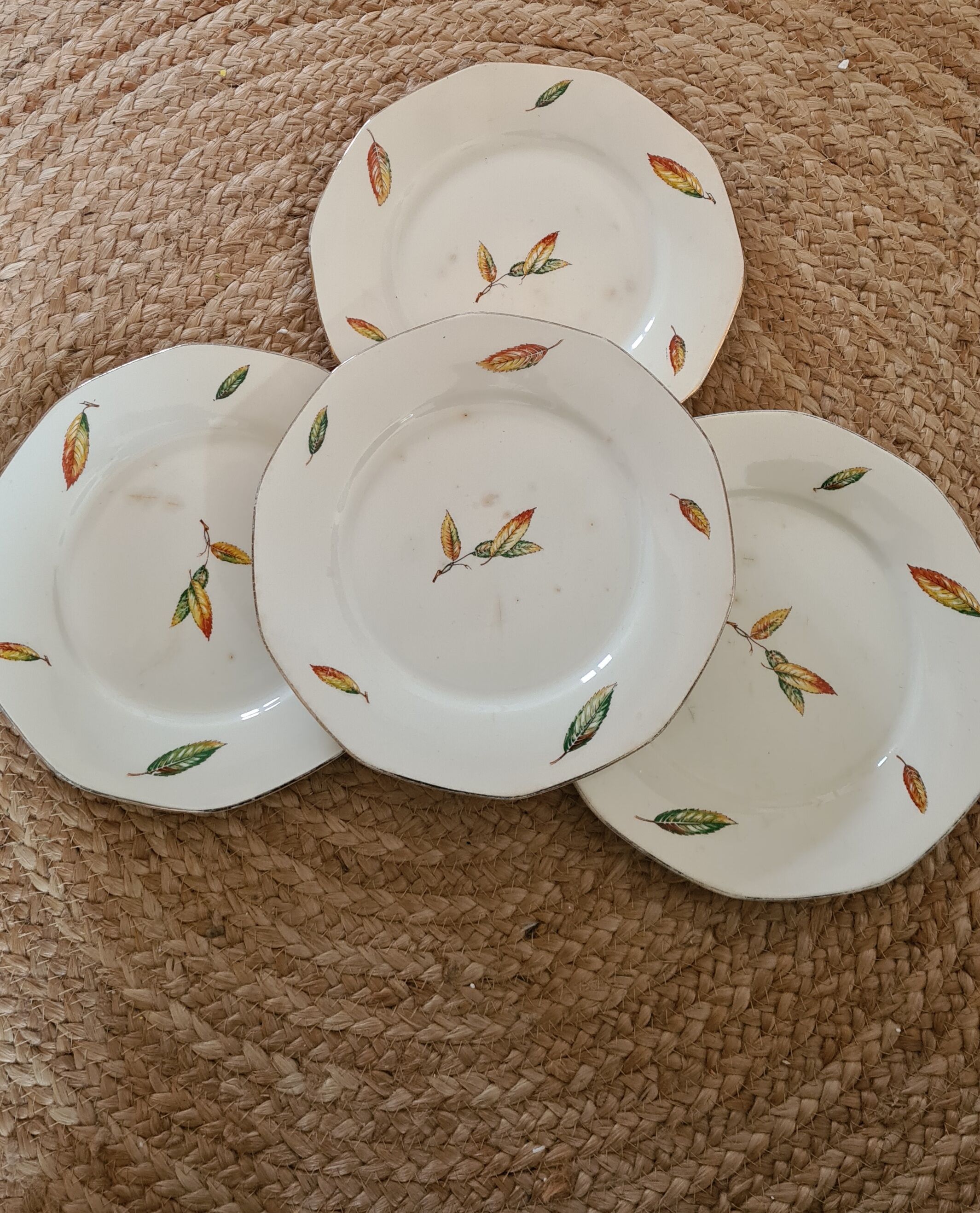 Flat plates opaque porcelain Digoin