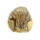 Mid-Century Modern Murano Glass & Brass Wall Light from Kaiser, 1960s