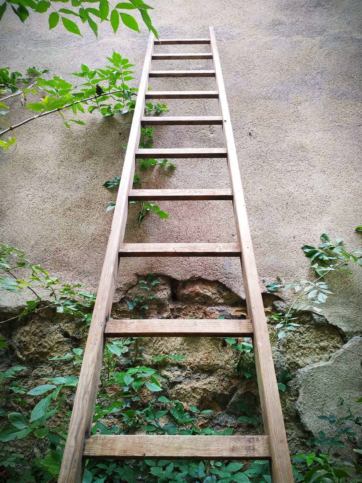 Old Cognet scale 321 cm