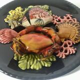 Fish slushie plate