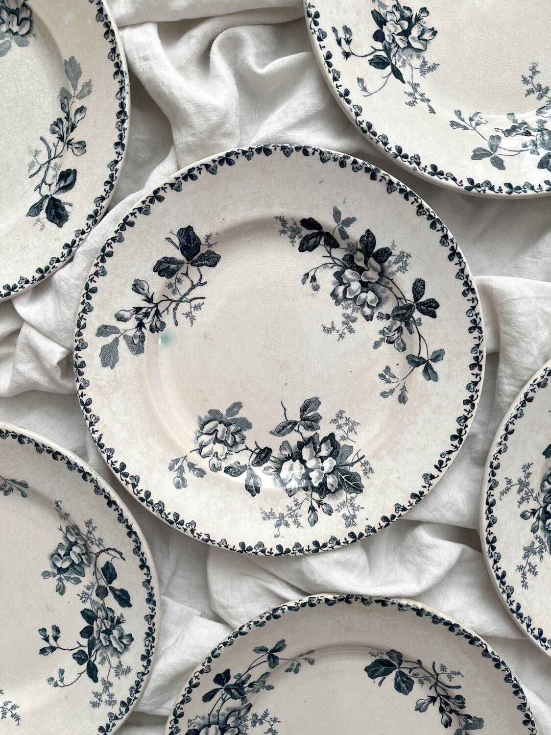 6 assiettes plates en terre de fer « Acacia » Moulin des Loups et Hamage