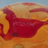 Soisy vase on school