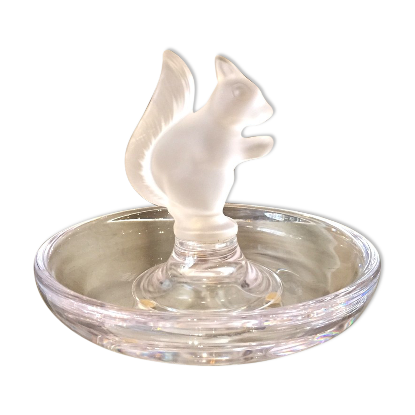 Door rings rings empty pocket squirrel crystal of weaners