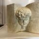 Statue bust roman man
