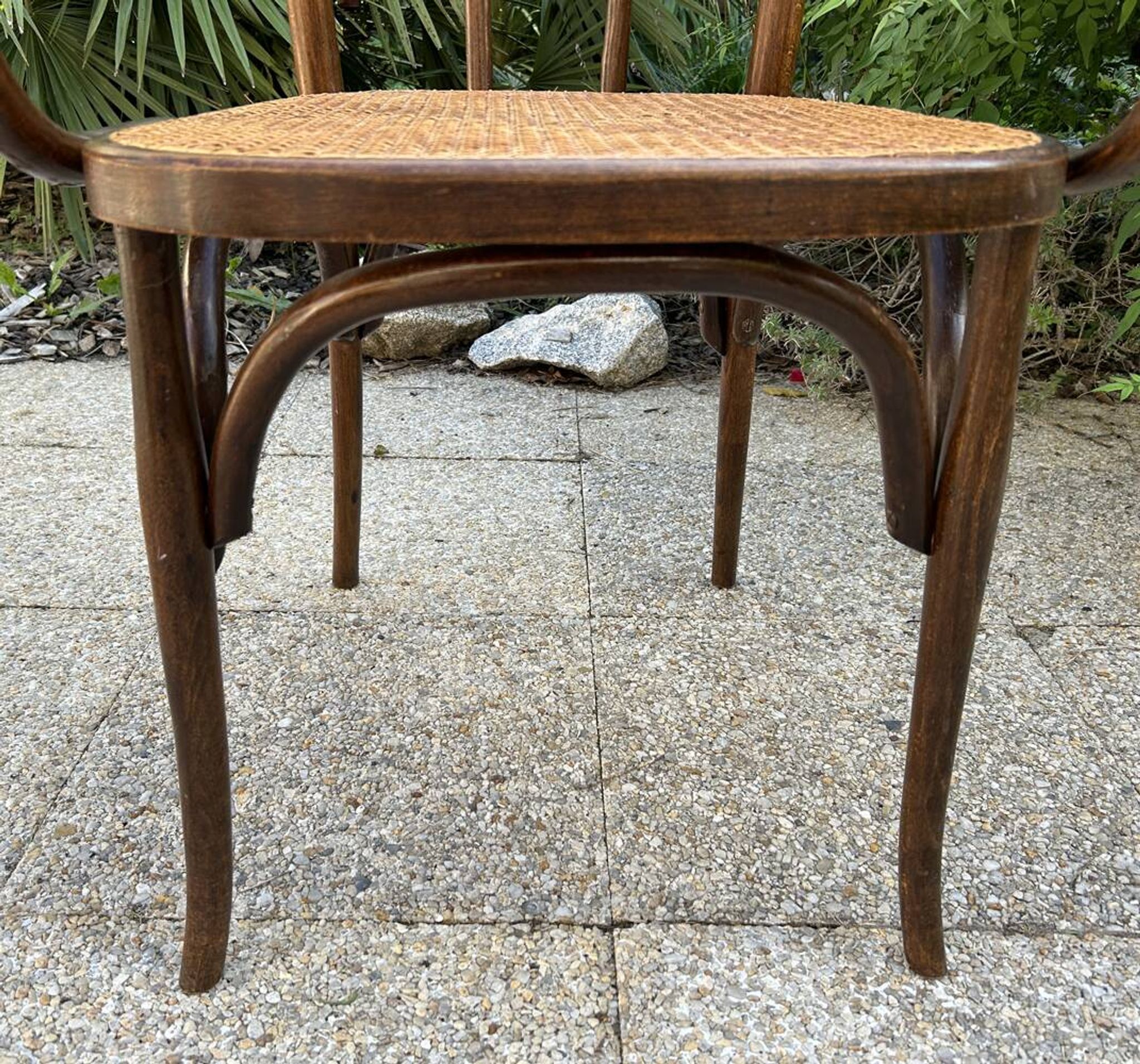 Fauteuil bois courbé canné Baumann, 1900