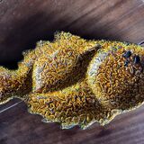 Large Flat Fish Appetizer - Fat Lava Vallauris Earthenware 47 / 25 cm