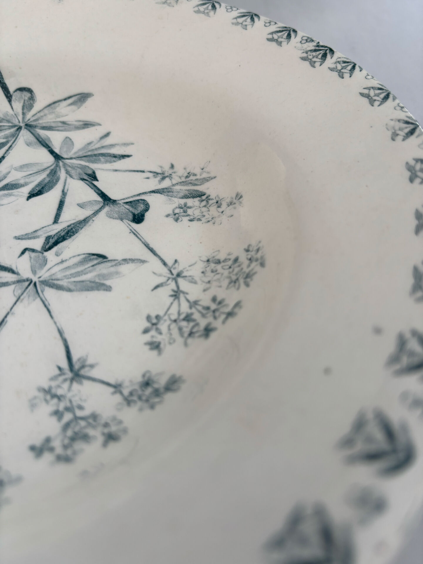 Shallow dish ironstone butterfly pattern Valius model