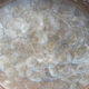 Mother-of-pearl plate