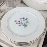 12 antique dessert plates made in France Digoin Sarreguemines