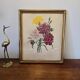 Antique botanical frame – “Carnation Variety” – Gilded wood