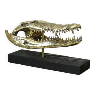 Grand Crâne Crocodile d'eau Salée Bronze Métal Base Bois Art 52cm