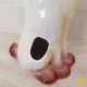 Ceramic dog