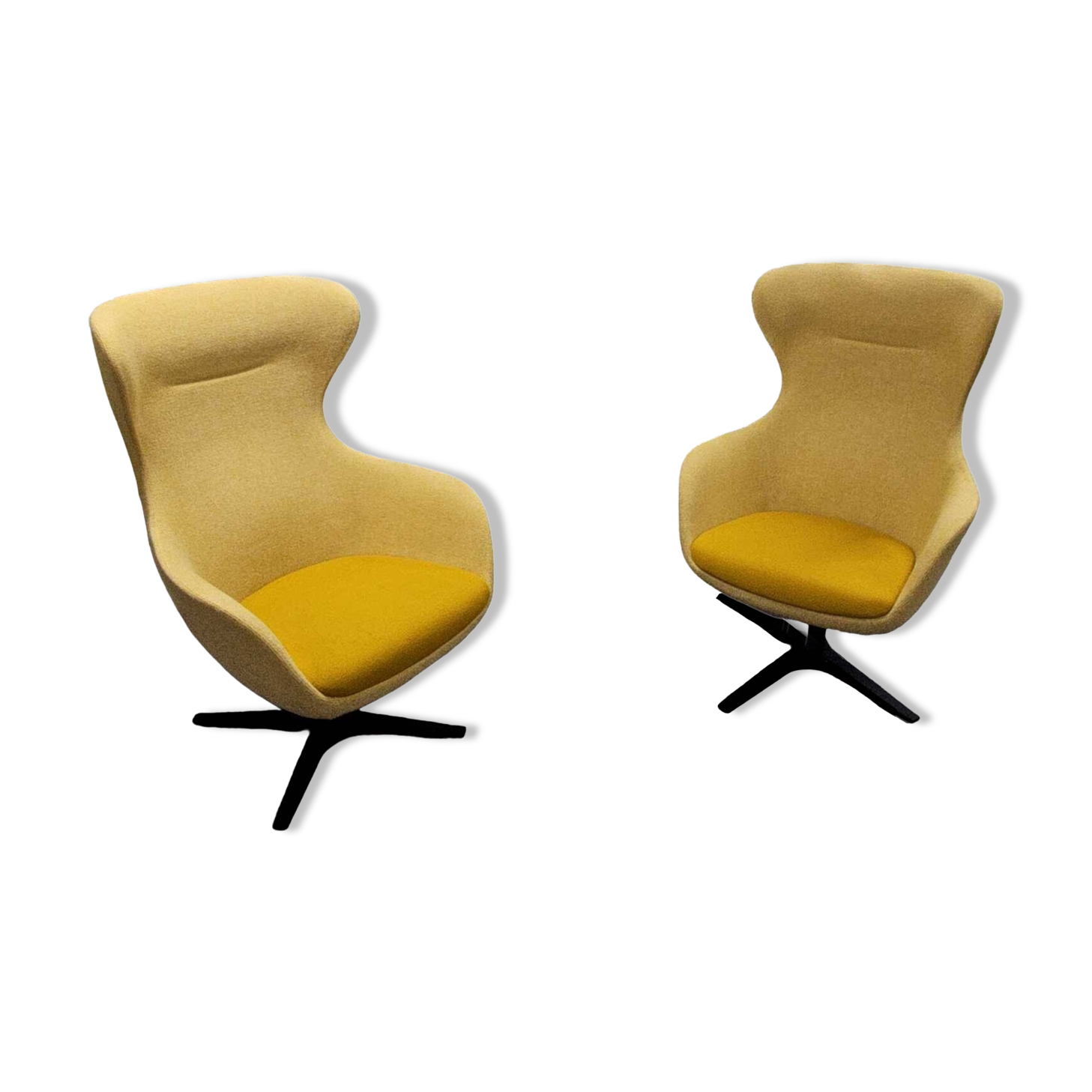 Cider Armchair - Queen Model