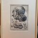 Old Print Engraving 19th Century Framed Anatomy Artery Face Bernard Dixerit
