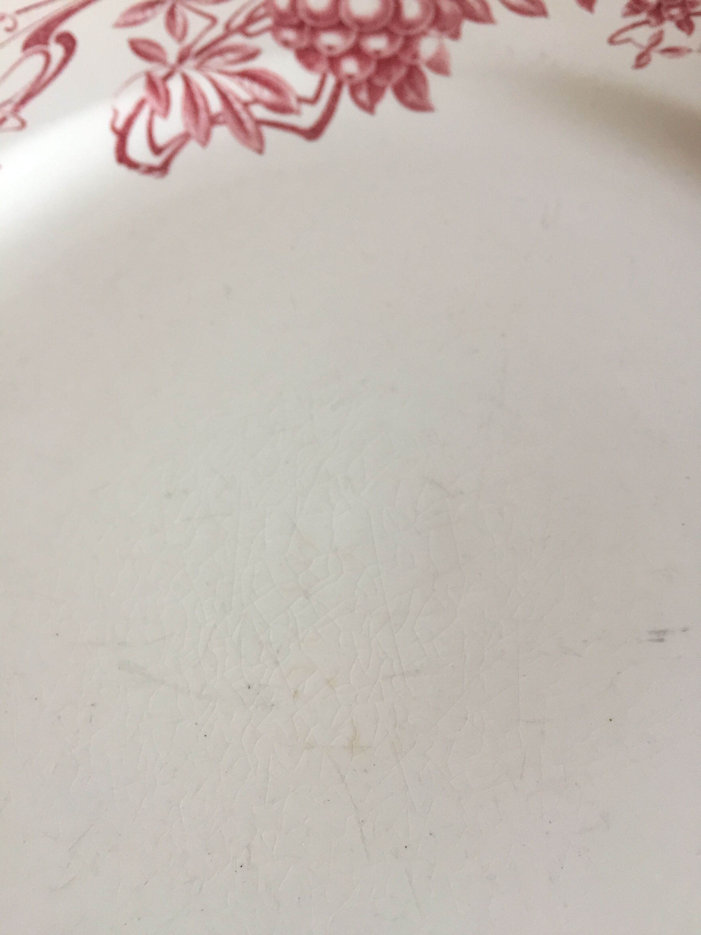 "Sorbier" décor plate by Boch Frères Kéramis