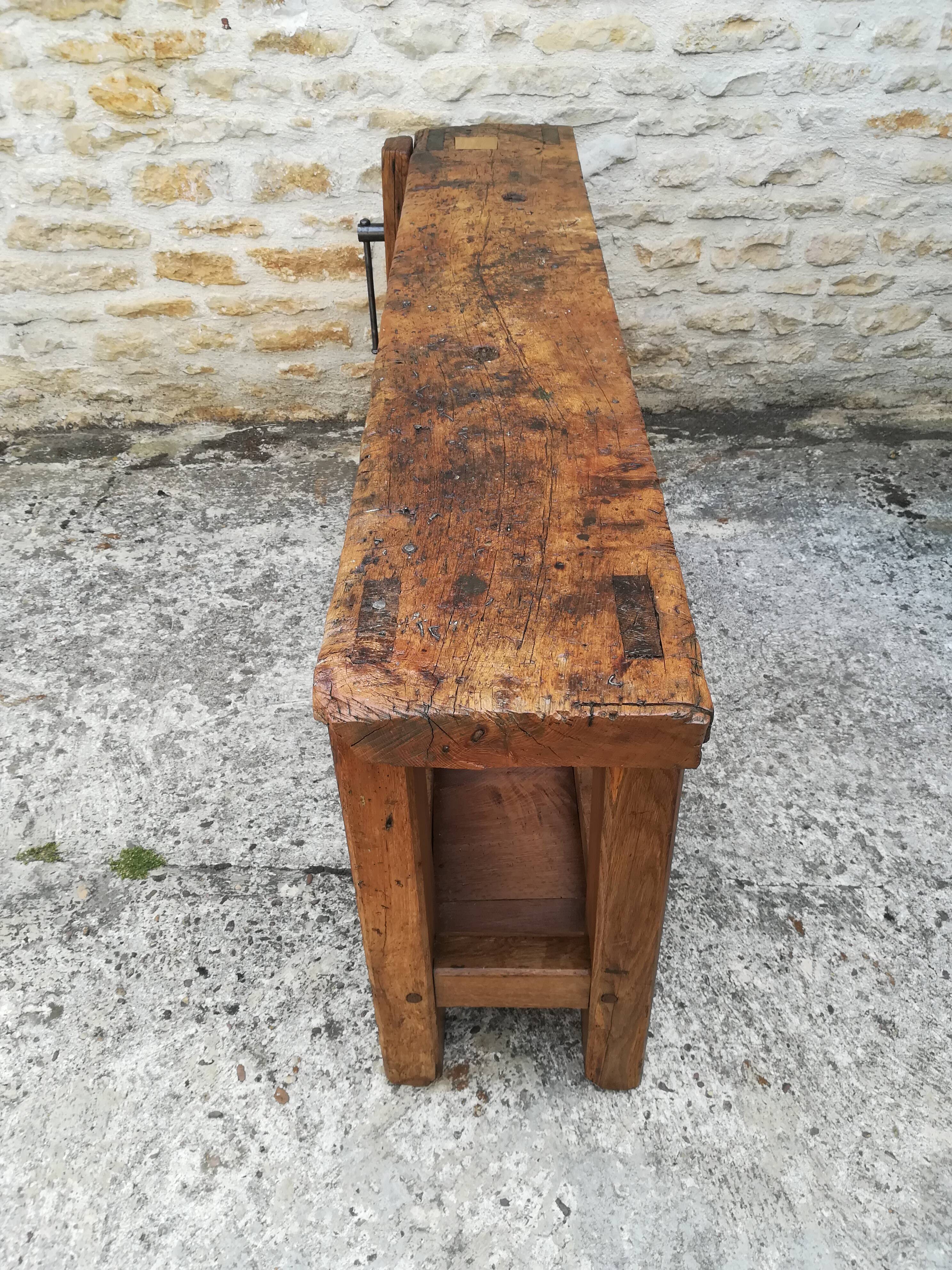 Established in elm and oak