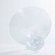 Large Lalique Plumeria crystal bowl circa 1980