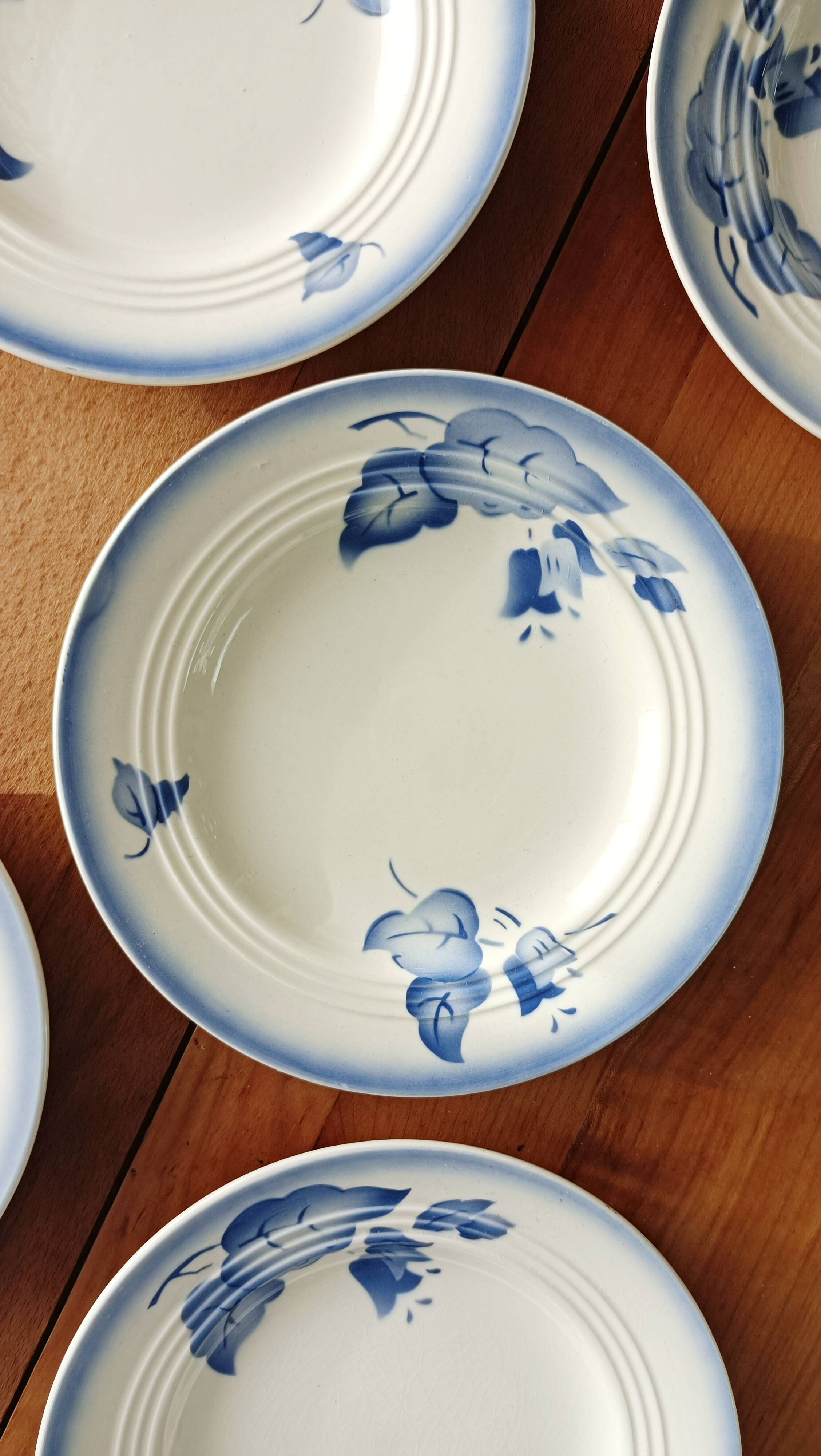 Set of 5 dessert plates, blue floral decoration