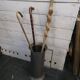 Umbrella stand and canes