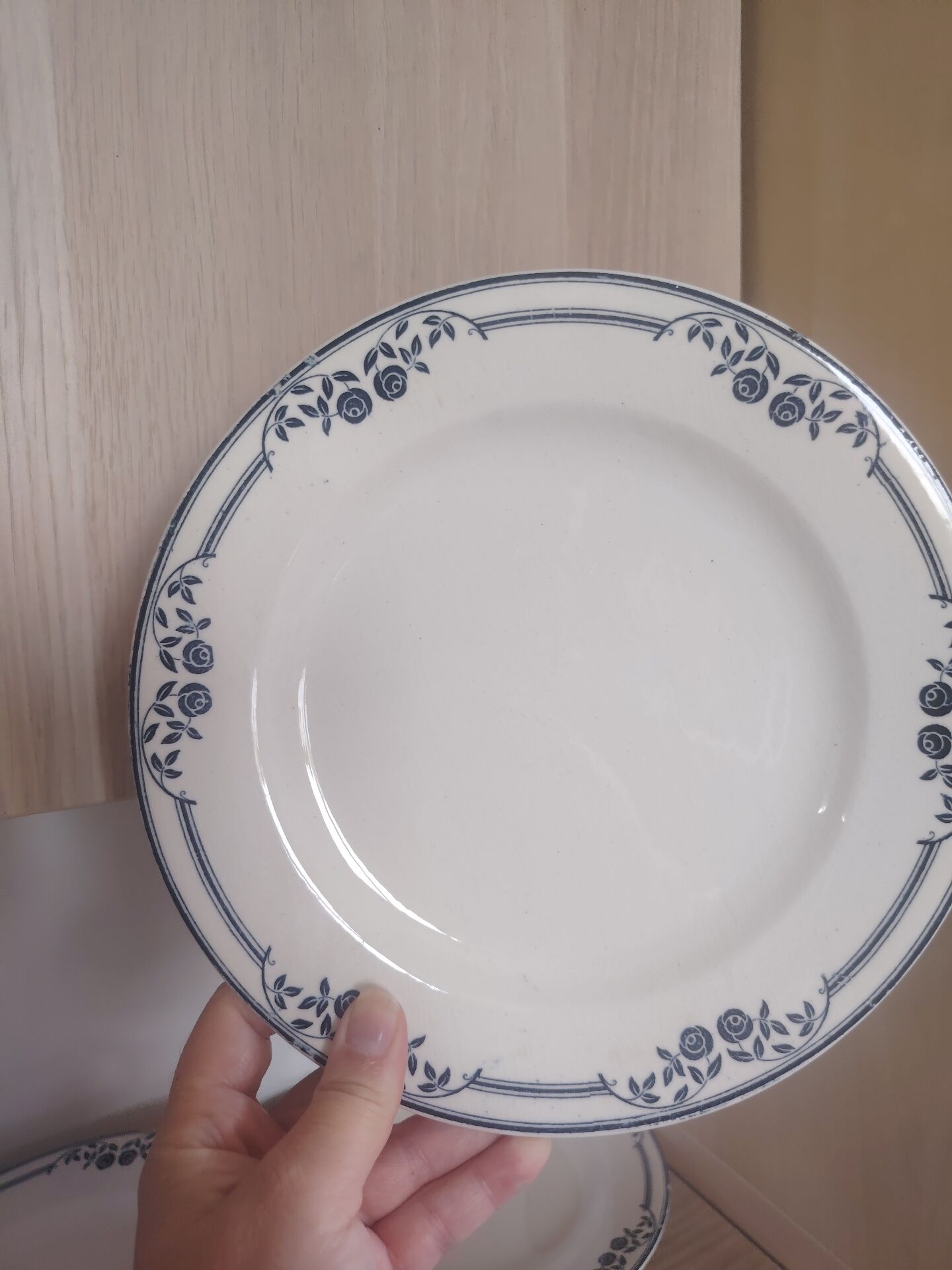 Flat plates ironstone Saussure