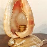Shell lamp
