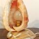 Lampe coquillage