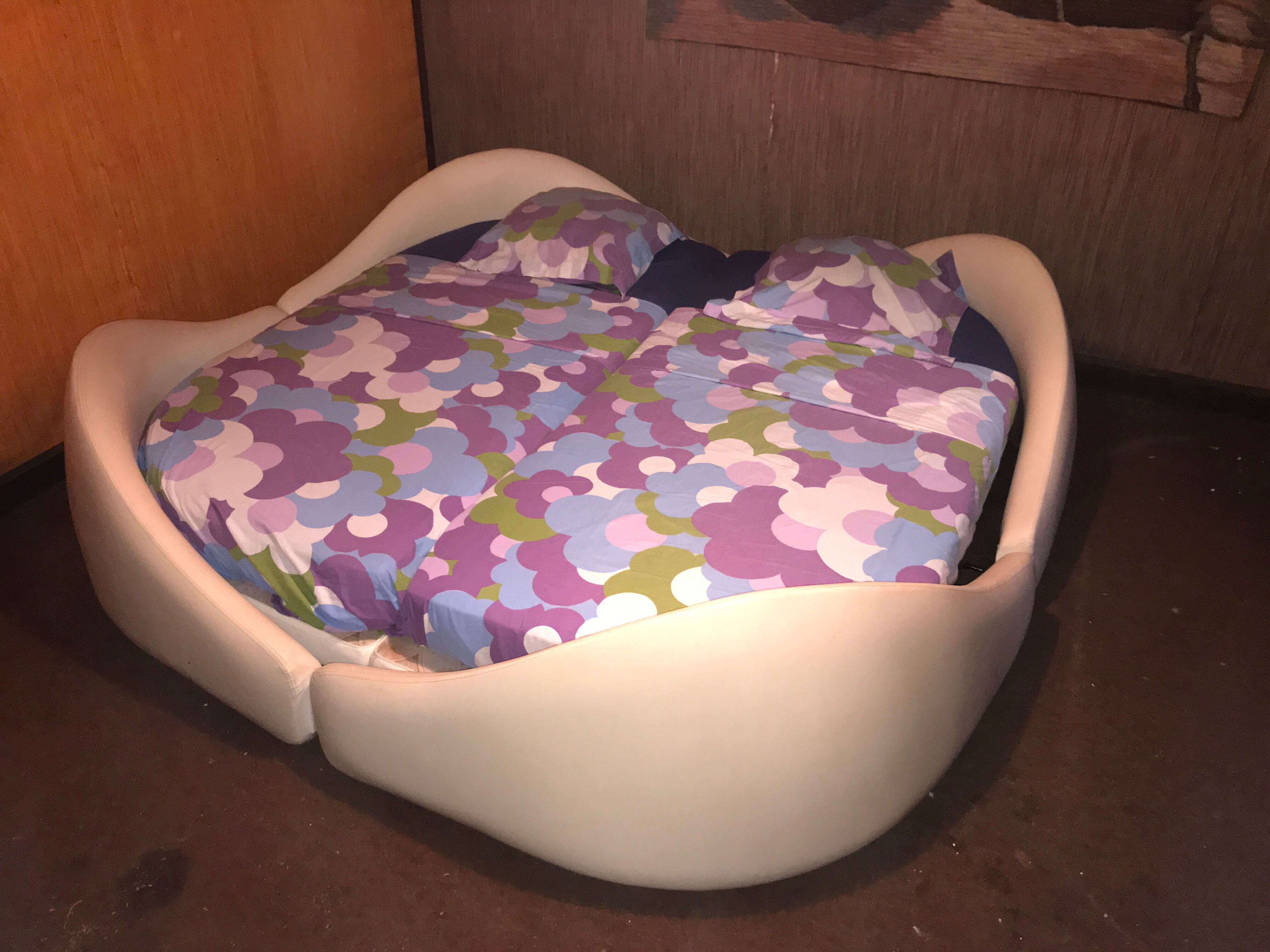 Anemone bed by Bernard Gauvin 1972