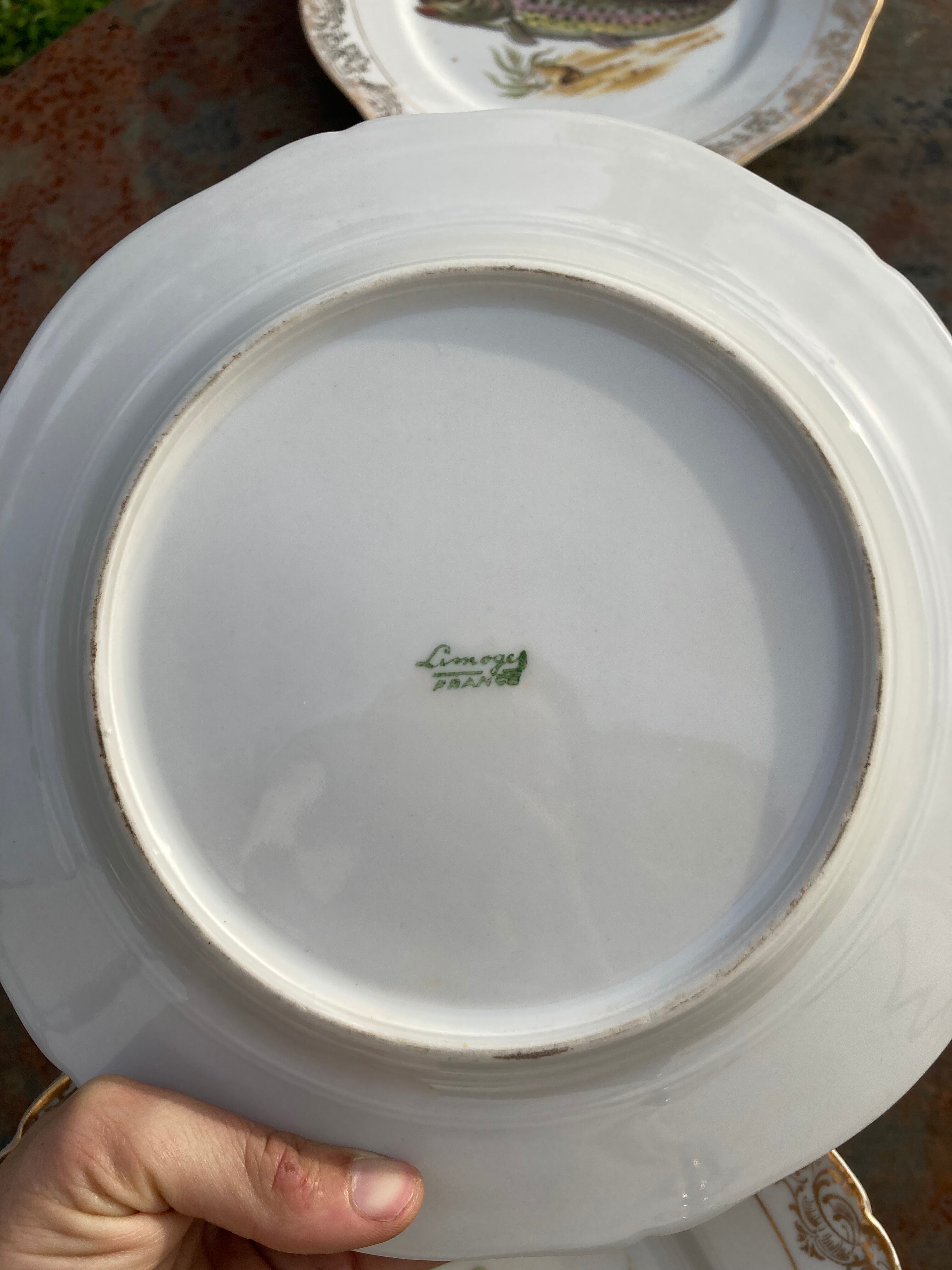 11 vintage Limoges porcelain fish plates
