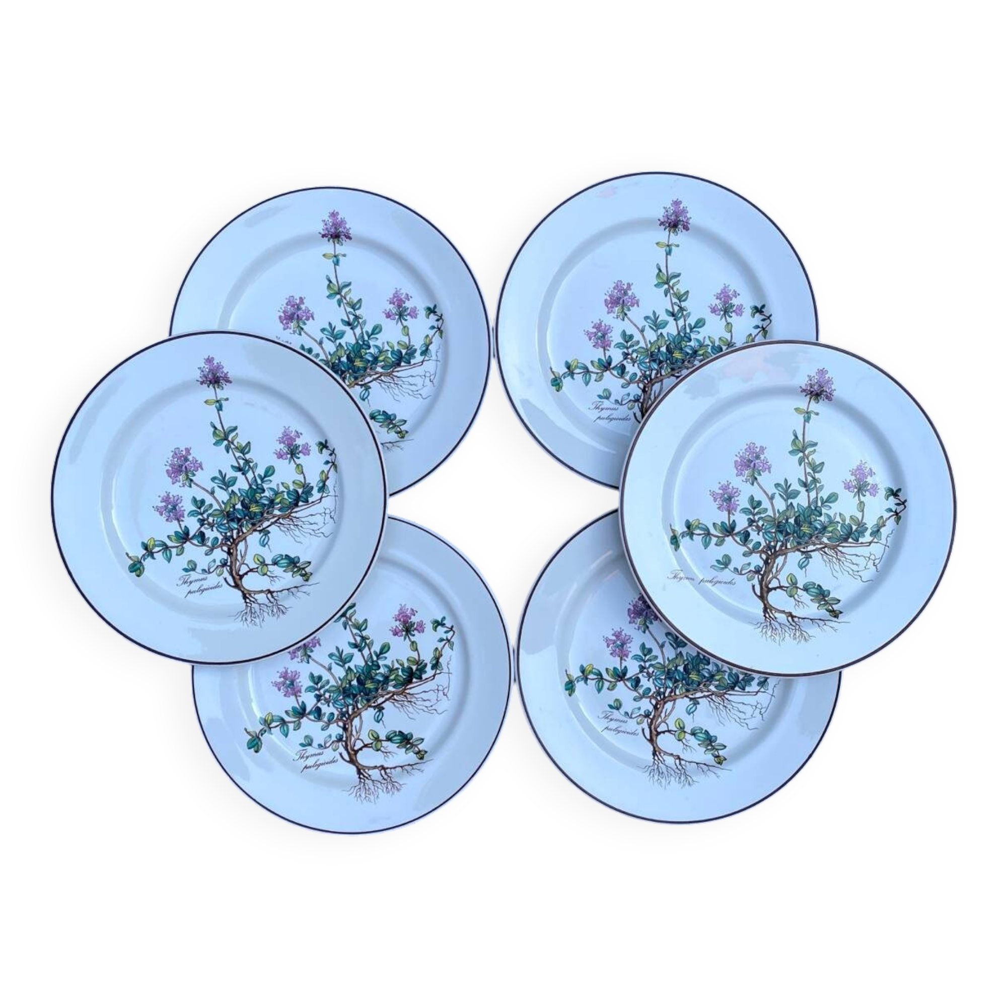 Lot de 6 assiettes à dessert "Thymus" BOCH Botanica