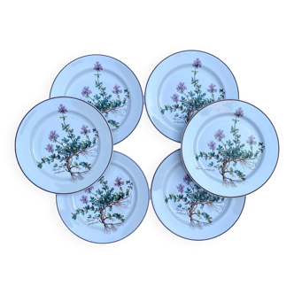 Set of 6 “Thymus” dessert plates BOCH Botanica