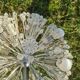 "Dandelion" or "Sputnik" chandelier, 1950s, designed by Emil Stejnar