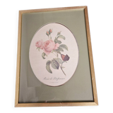 Rose frame by perfumers pj Redouté