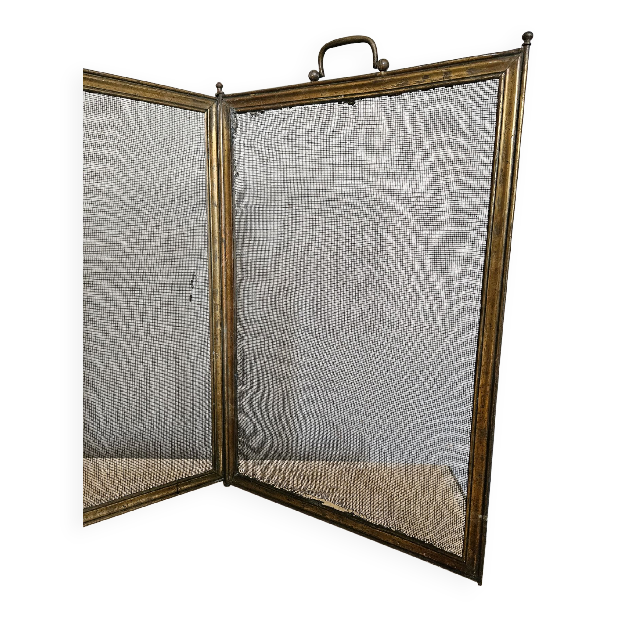 Chimney fire screen