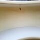 Bar in black leatherette and formica of the 50s 60s