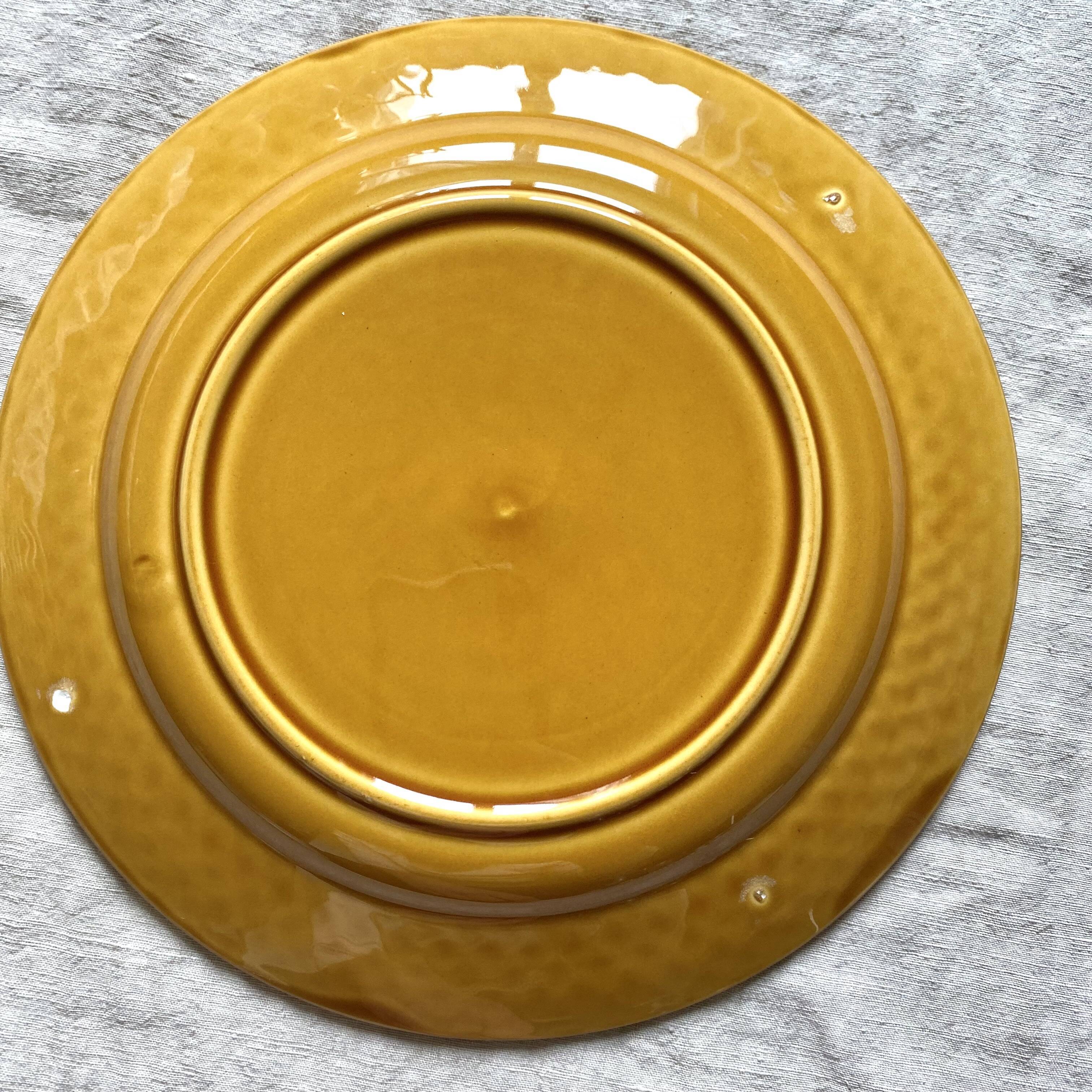 Flat plates in ceramic fish