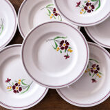 8 plates Salins model Janine