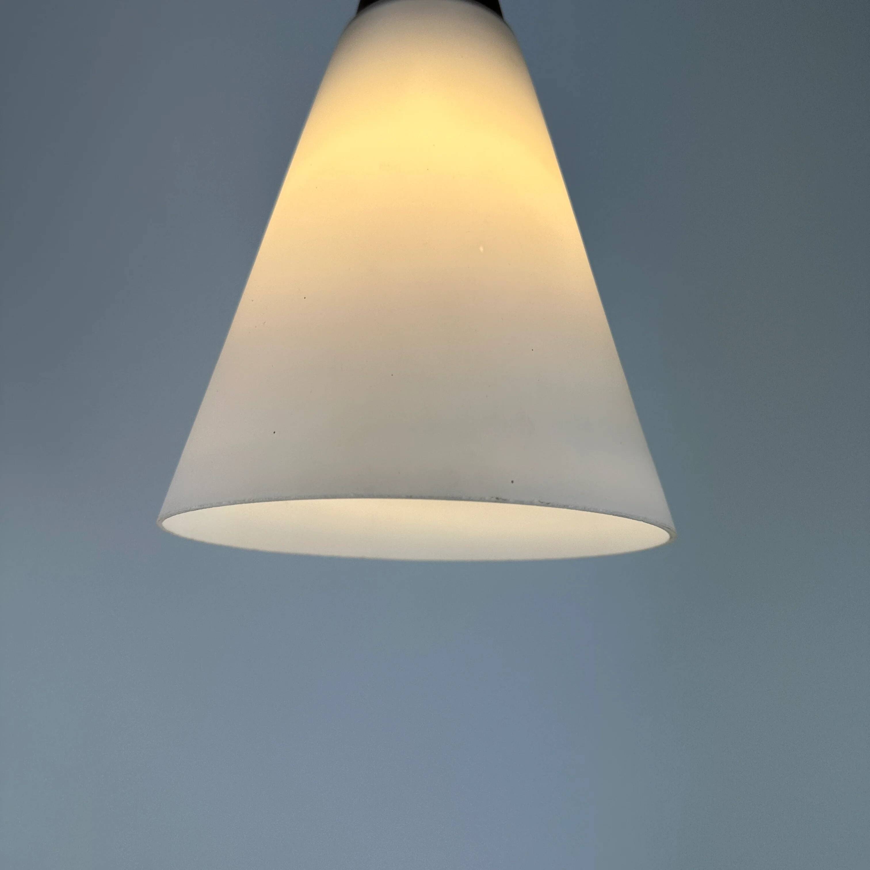 Suspended light fixture in frosted glass and wood by Philips 1950