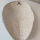 Wall plaster mask