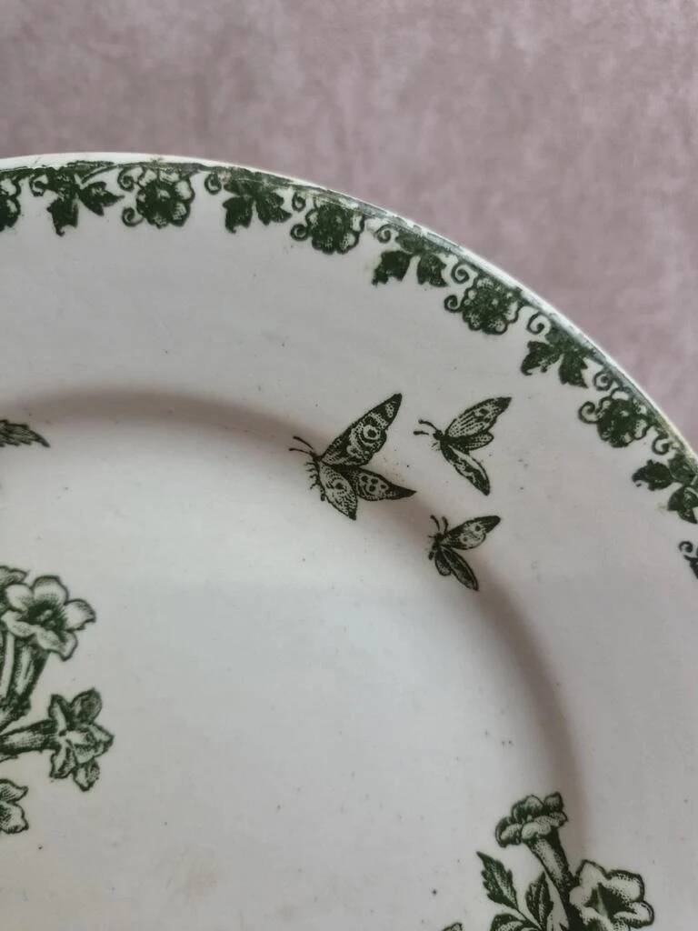 Flat plate ironstone Saint-Amand – Model Denise – Green decoration
