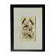 Original ornithological plate "Harrier - Subbuse - &c..." Buffon 1836
