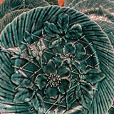 Set of 10 green earthenware dessert plates with a finely embossed floral pattern