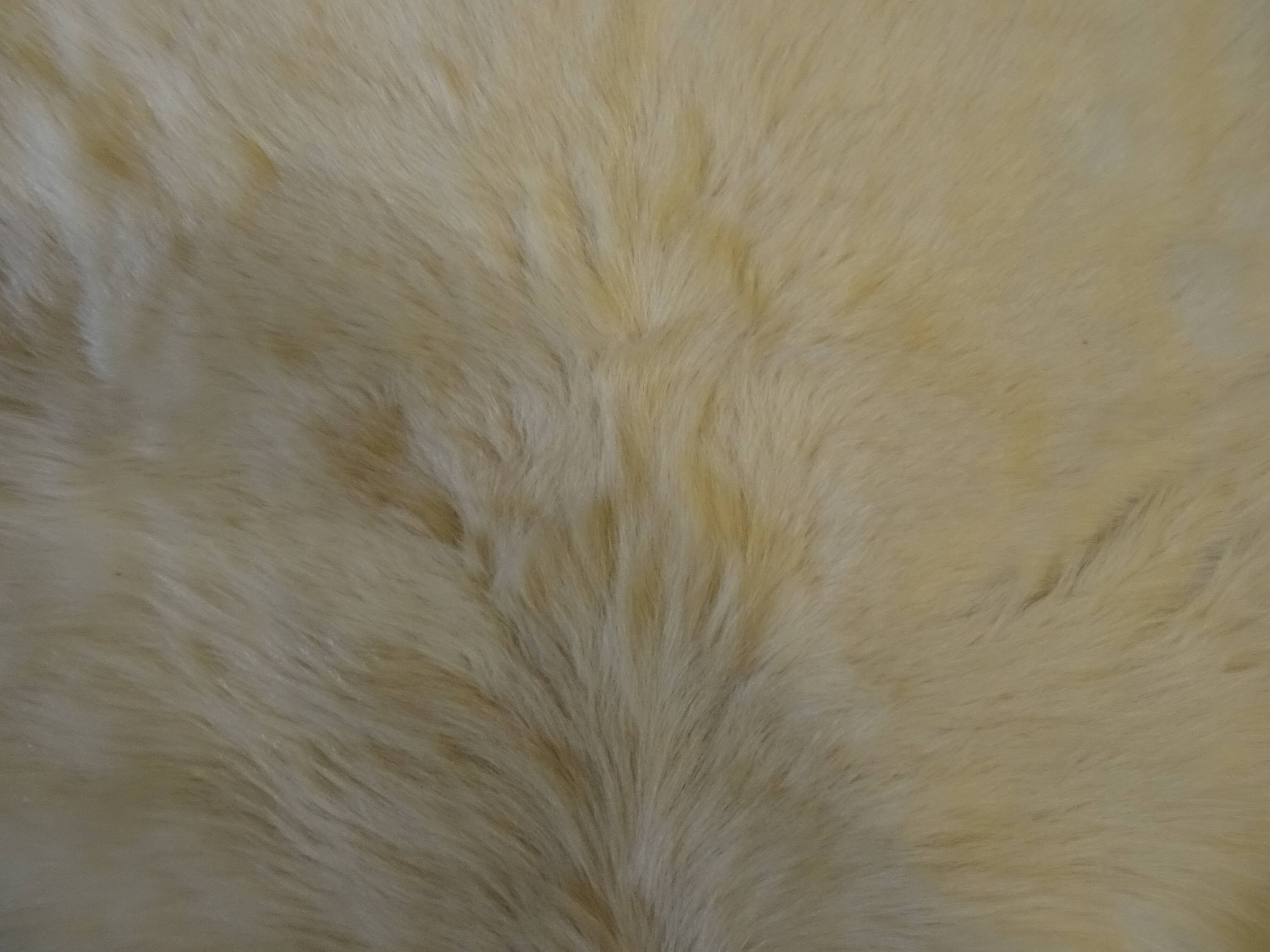 Goatskin rug