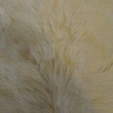Goatskin rug