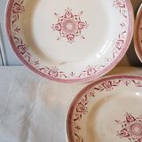 3 plates of pink iron earth "amiral"