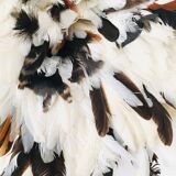 Juju Hat speckled white 50 cm