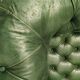 Former chesterfield green leather chair