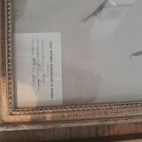 Series of 4 herbariums at the beginning of the century